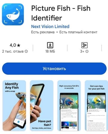 Приложение для Андроида Picture Fish для распознавания рыбы онлайн