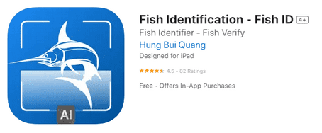 Определить название рыбы по фото онлайн – приложение для Айфона